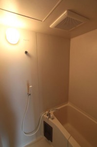 [賃貸マンション／所沢市狭山ヶ丘] 賃貸リノベーション202号室_風呂
