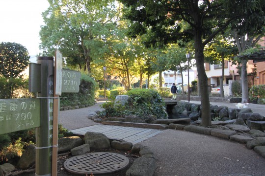 小松川境川親水公園