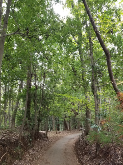 所沢の好きなところ